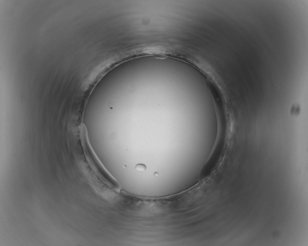 X0000113130297200909040940