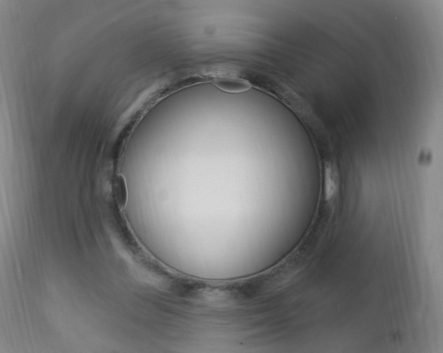 X0000113130300200909040940