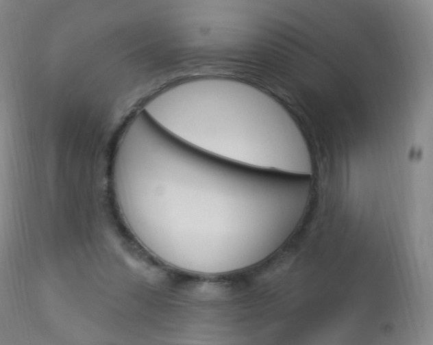 X0000113130303200909040940
