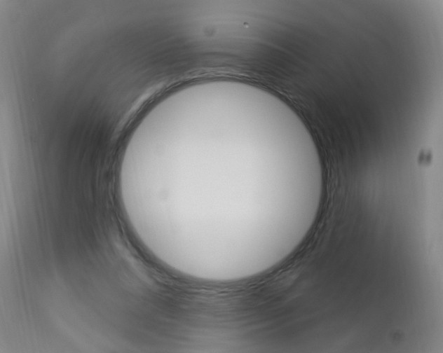 X0000113130304200909040940