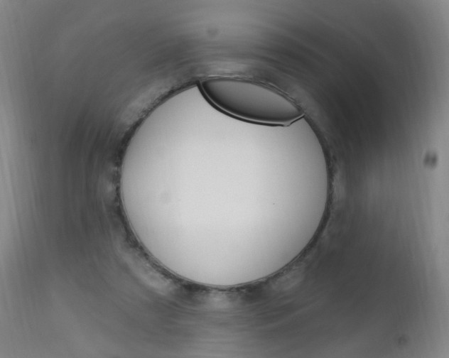 X0000113130305200909040940
