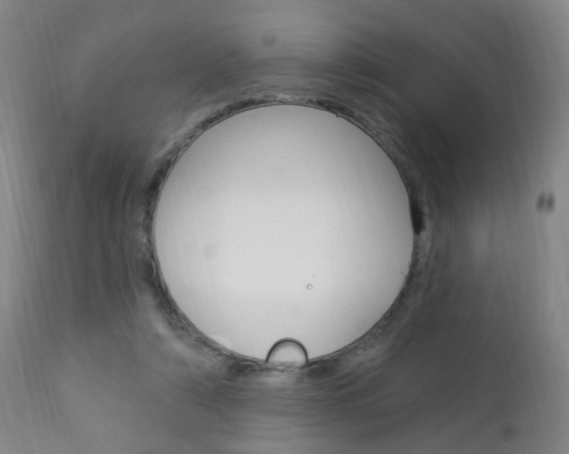 X0000113130306200909040940