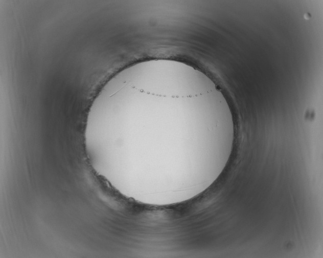 X0000113130307200909040940