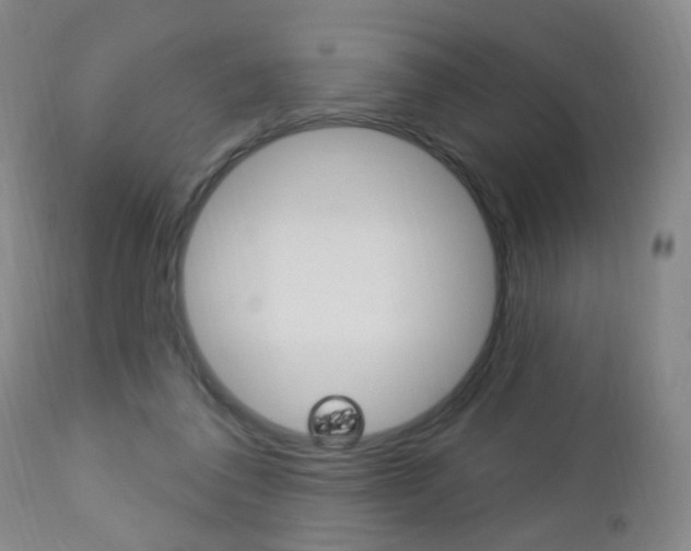 X0000113130308200909040940