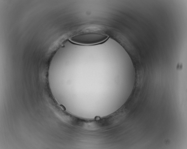 X0000113130309200909040940