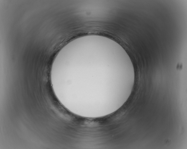 X0000113130311200909040940