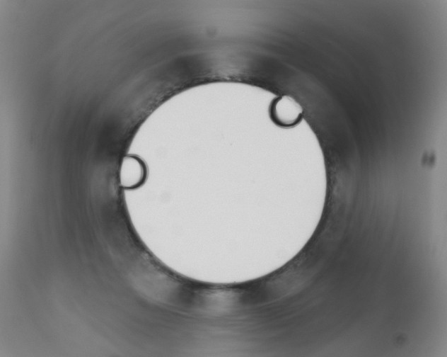 X0000113130313200909040940