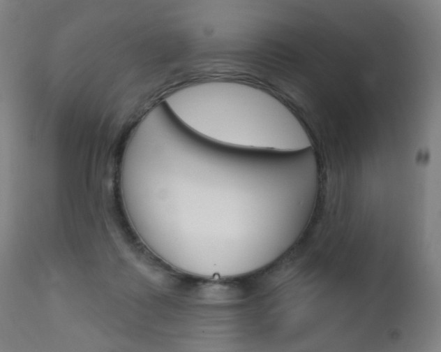 X0000113130315200909040939
