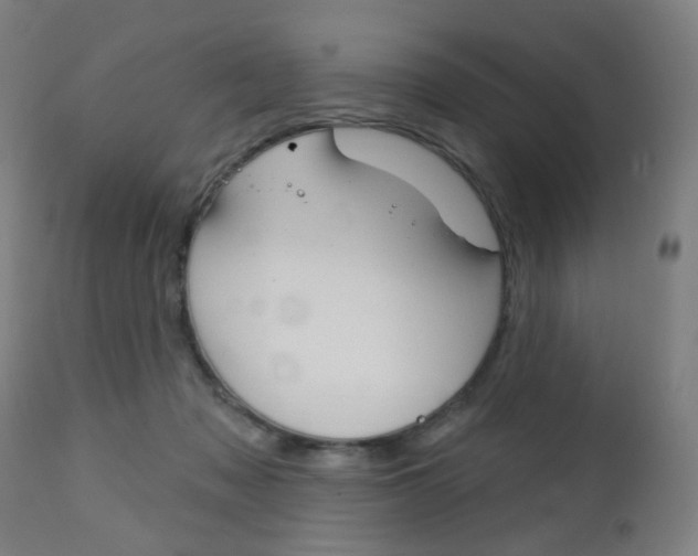 X0000113130317200909040939