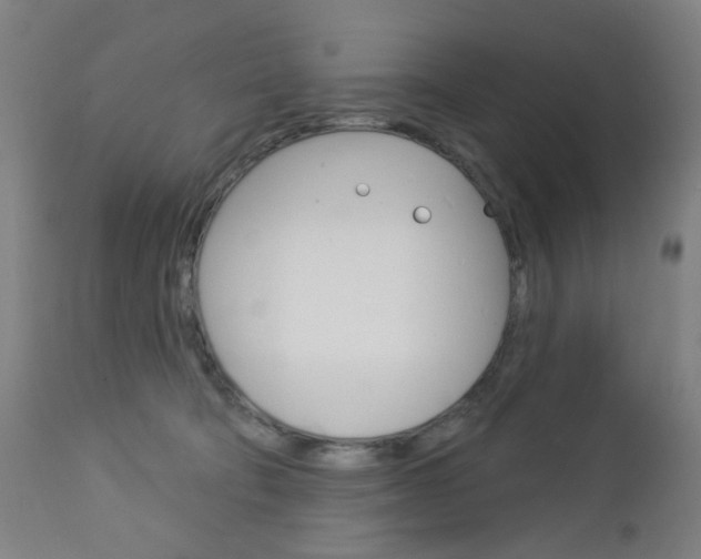 X0000113130322200909040939