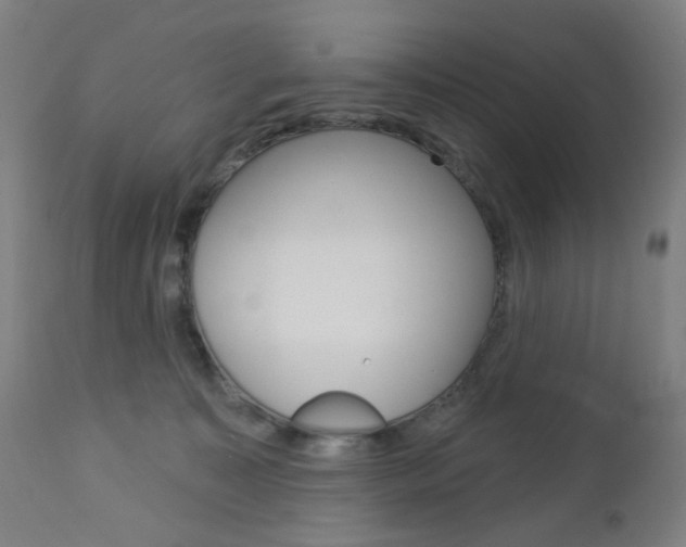 X0000113130323200909040939