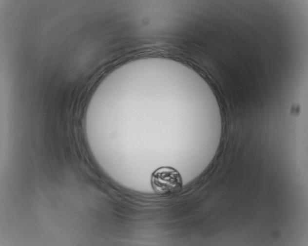 X0000113130324200909040939
