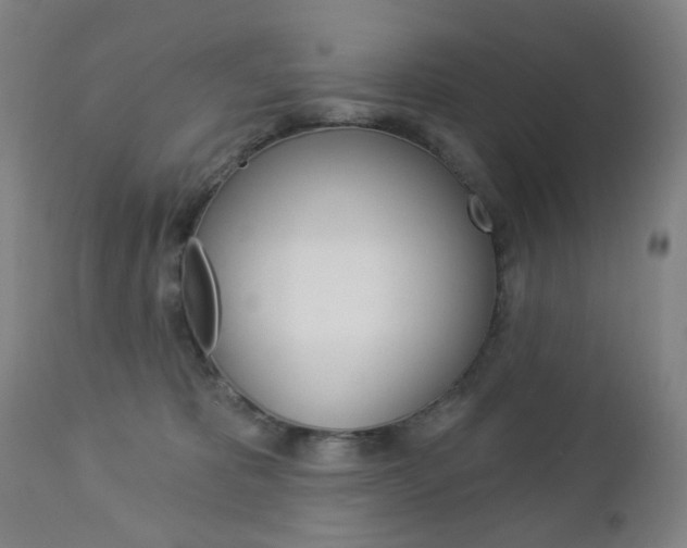 X0000113130325200909040939