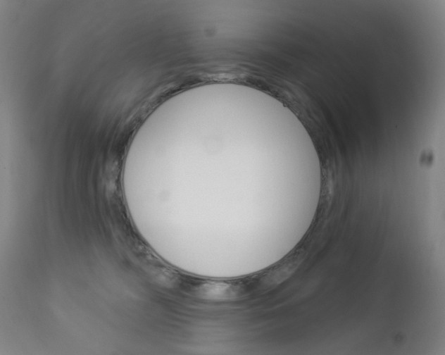 X0000113130326200909040939