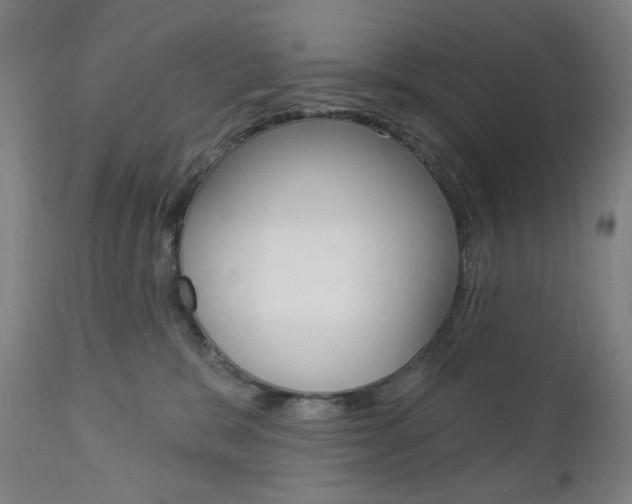 X0000113130327200909040939