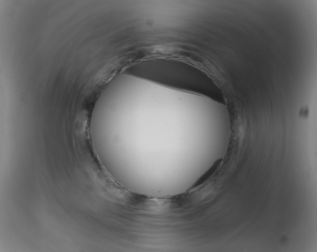 X0000113130328200909040939
