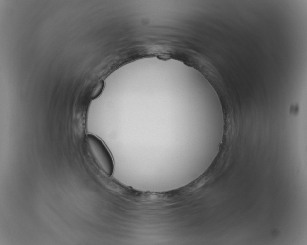 X0000113130329200909040939