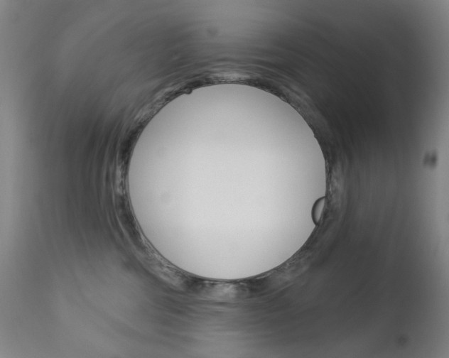 X0000113130330200909040939