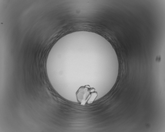 X0000113130332200909040939