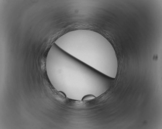 X0000113130335200909040939