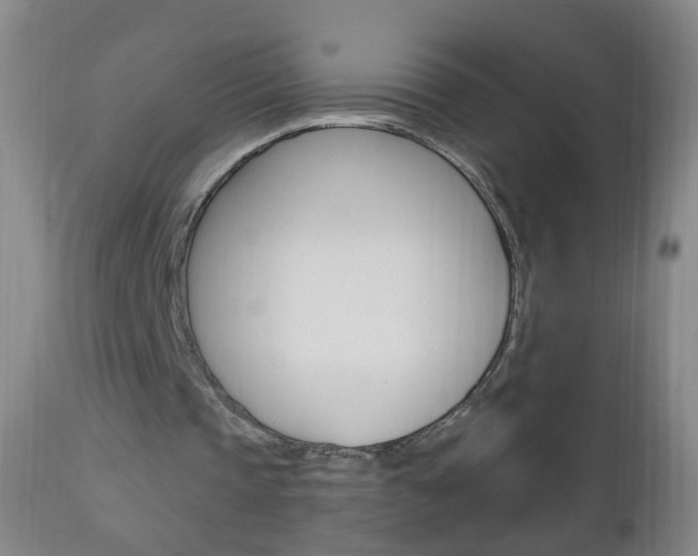 X0000113130337200909040938