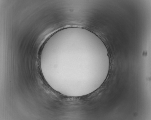 X0000113130338200909040938