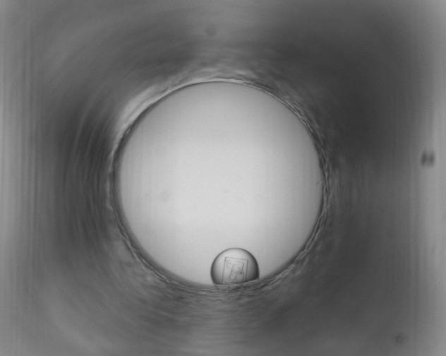 X0000113130340200909040938