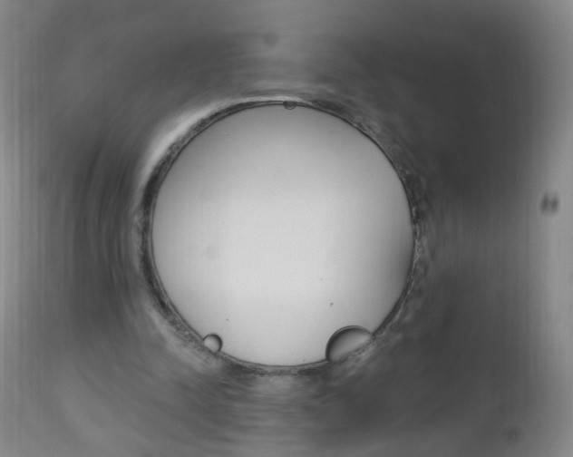 X0000113130342200909040938