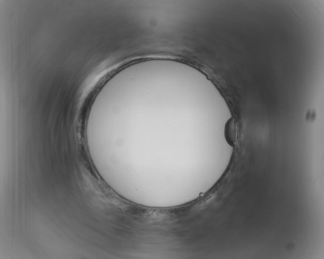 X0000113130343200909040938