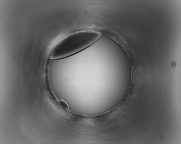 X0000113130344200909040938