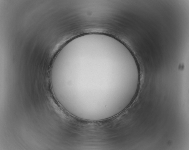 X0000113130345200909040938