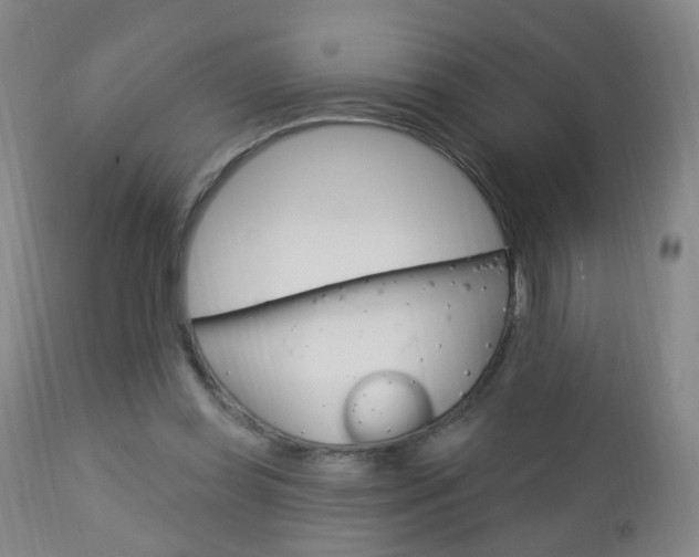 X0000113130349200909040939