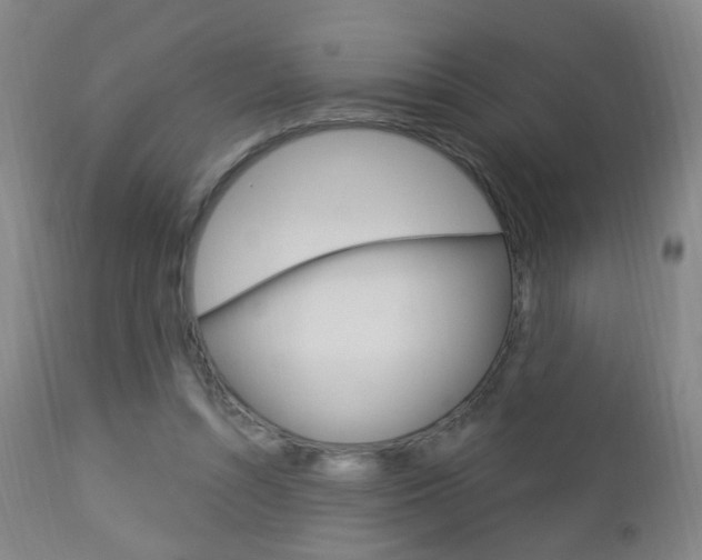 X0000113130352200909040939