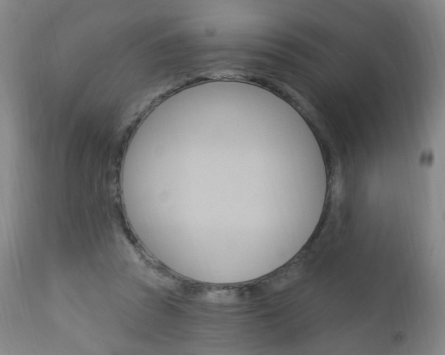 X0000113130353200909040939