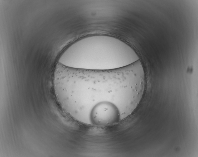 X0000113130354200909040939