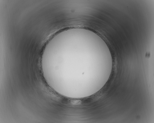 X0000113130355200909040939