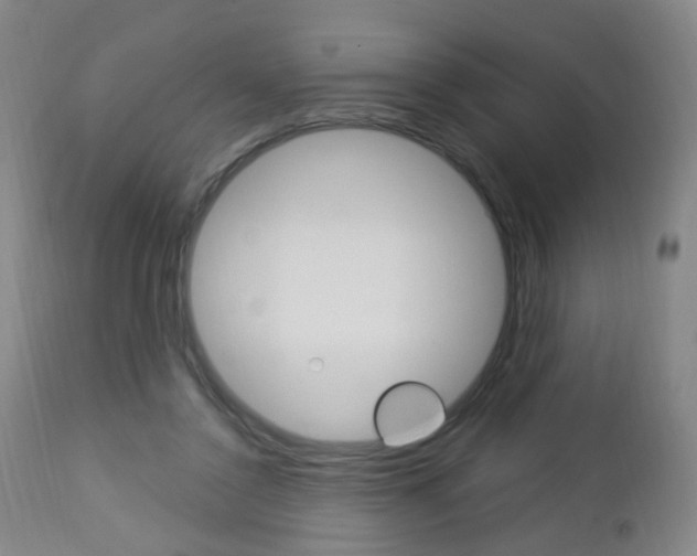 X0000113130356200909040939