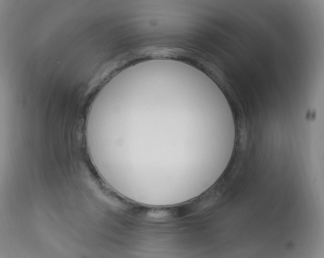 X0000113130357200909040939