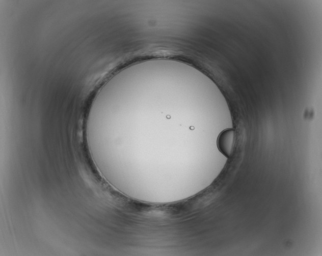 X0000113130358200909040939