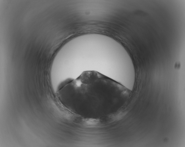 X0000113130359200909040939