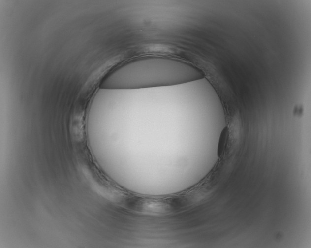 X0000113130360200909040939