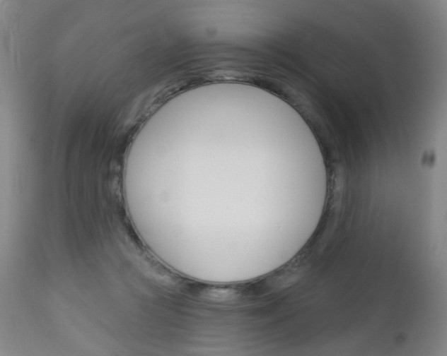 X0000113130361200909040939