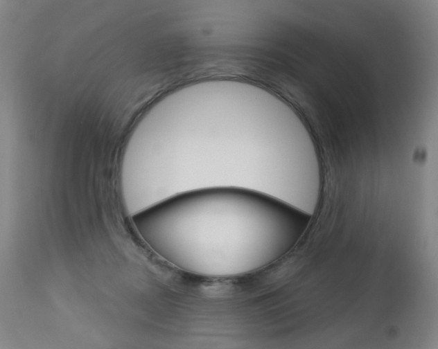X0000113130362200909040939