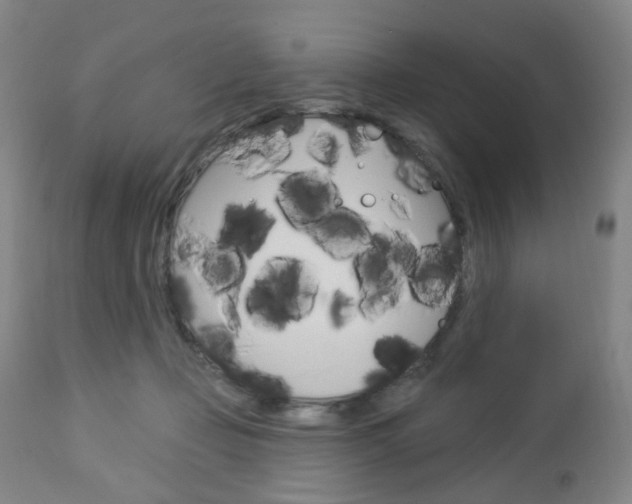 X0000113130365200909040939