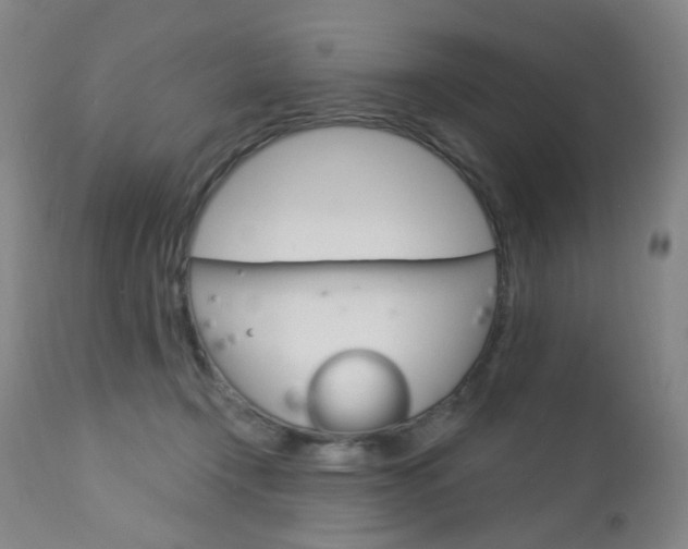 X0000113130366200909040939