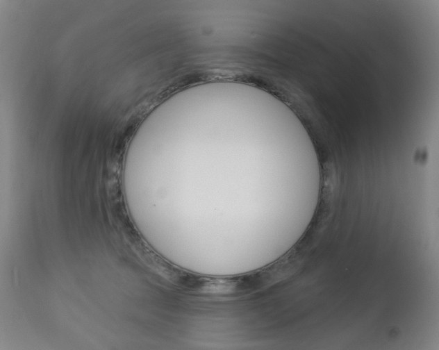X0000113130369200909040939