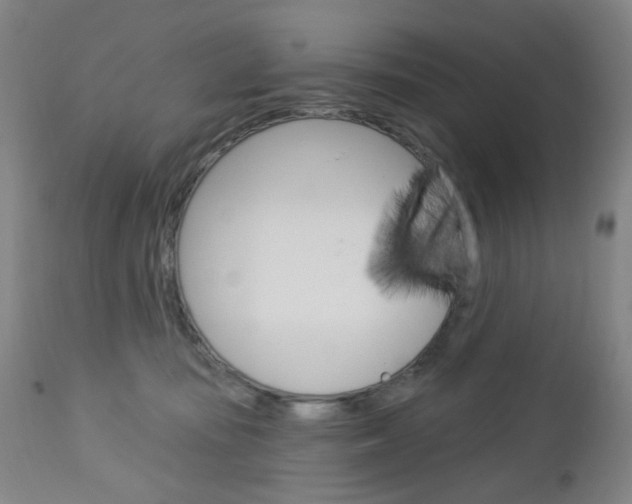 X0000113130371200909040939