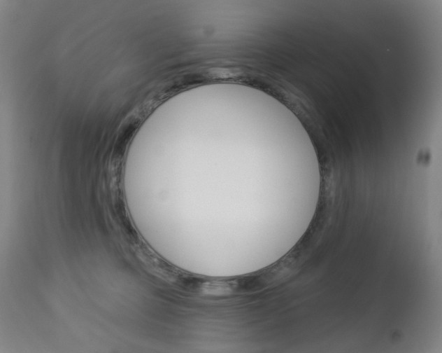 X0000113130373200909040939
