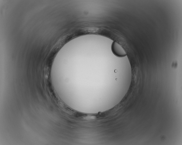 X0000113130374200909040939