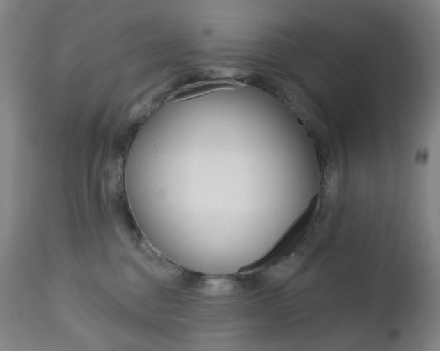 X0000113130376200909040939